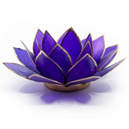 LotusSfeerlichtViolet7eChakraGoudrand