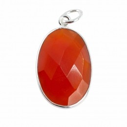 EdelsteenHangerOvaalMotivatie-Carneool-925Zilver20mm
