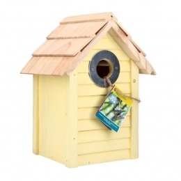 TuinplusStrandhuisBonaireYellow