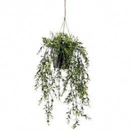 EmeraldKunstplantboxwood