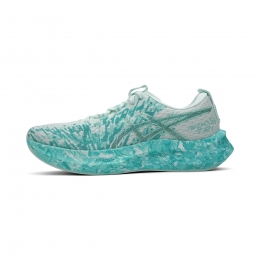 ASICSNoosaTri16Heren