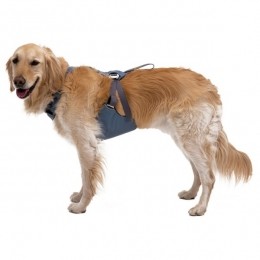 Ruffwear-LoadUpHarness-HondentuigmaatXXSblauw