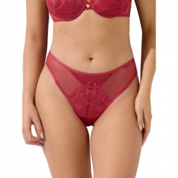 TangasLiscaOceanBraziliaanslaaguitgesneden