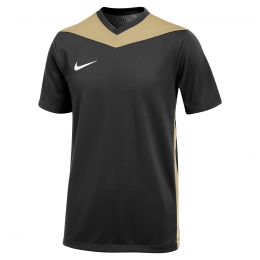 NikeParkDerbyIVVoetbalshirtKidsZwartGoudWit