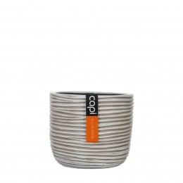 PotbolRib18x16IvoorCapiEurope-Capieurope