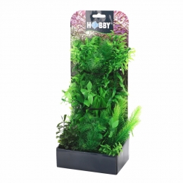 Plantasyset5decoratieplanten-Smulders
