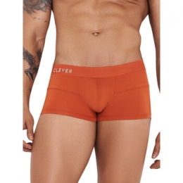 BoxersCleverCurseBoxer