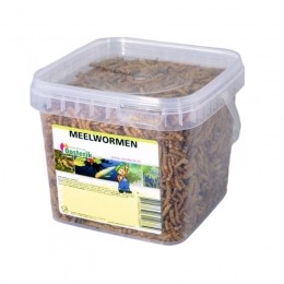 Meelwormen12litervoerSurenCollection-Surencollection
