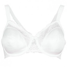 VoorgevormdebhTriumphLADYFORMSOFT