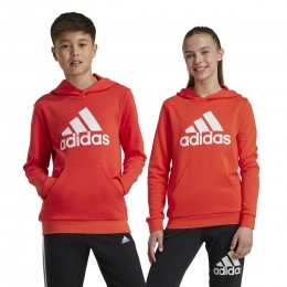 adidasEssentialsBigLogoHoodieKidsRoodWit
