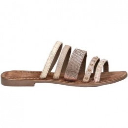 KlompenLazamaniMuiltjes