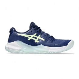 AsicsGel-challenger14ClayDames
