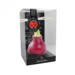 BloembolRodeAmaryllisWaxkaarsvetGlossRoodMaatSIIKebolWarentuinNatuurlijk-Warentuinnatuurlijk