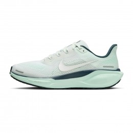 NikePegasus41Dames