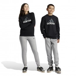 adidasEssentialsBigLogoFleeceJoggingpakKidsZwartGrijsWit