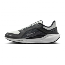 NikePegasus41GTXHeren