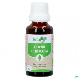HerbalgemOlijfboomBio30ml