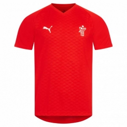 DenemarkenPUMAHandbalHerenShirt754913-01