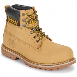 LaarzenCaterpillarHOLTONSBEFOHROSR