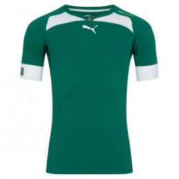 PUMAevoSPEEDIndoorHerenHandbalshirt701605-05