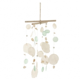 J-LinewindgongPlacunaPlacentaschelp-steen-blauwwit