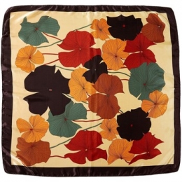 SjaalV1969CarrZijdeBigflow