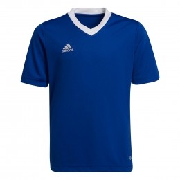 adidasEntrada22VoetbalshirtKidsBlauwWit
