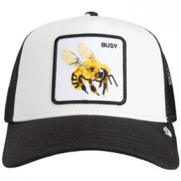 PetGoorinBros101-2420-DUS02