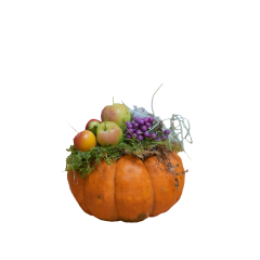 OutletNOpgemaaktePompoenOranje-Herfstdecoratie2100050053280-WarentuinCollection