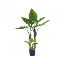 KunstplantAlocasiaDubbel120cm-Buitengewoondeboet