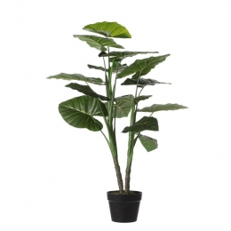 MicaDecorationsTaroKunstplant-H100x70cm-Groen