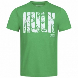 HULKTextMARVELHerenT-shirtFBMTS304GRN
