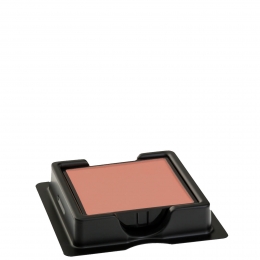 SergeLutensCompactFoundationTeintsiFinRefill8gVariousShades-B60