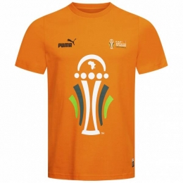 ACONAfricaCupofNationsPUMAHerenT-shirt684565-01