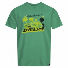 DickiesTiftonHerenT-shirtDK0A4TNBEME