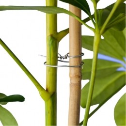 Binddraadverzinktdia12mmx50mNature-Nature