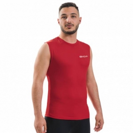 GivovaCorpus1Functioneeltanktoprood
