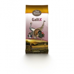 4xDeliNatureGallixOrnamentalSuperStart4kg