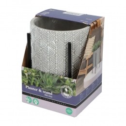 BuzzyHousePlantsPlantenpotinStandaardmetAloeVeraZaden