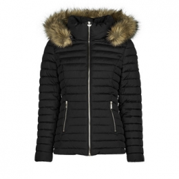 DonsjasLesPetitesBombesALIMA