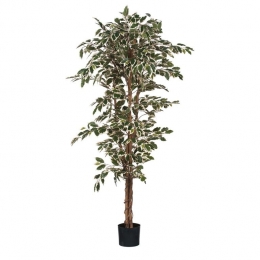 MicaDecorationsFicusKunstplant-H180x90cm-GroenBont