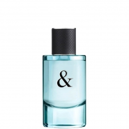 TiffanyCoLoveforHimEaudeToilette50ml