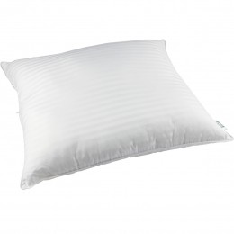 Livkussen60x70