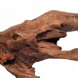 MangroveagedwoodmediumAquadistri-Aquadistri