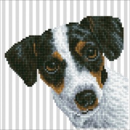 DiamondDotz-20x20cm-hond