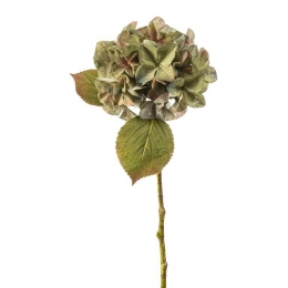 FleurdirectKunsttakHydrangea-Groen-Kunststof-0x47x0cmBxHxD