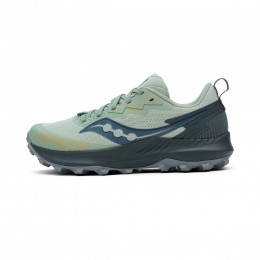 SauconyPeregrine14GTXDames