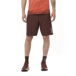 SalomonSLabUltra2in1ShortsHeren