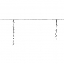 Clusterverlichtingcascade432lflash75mluxuryAnnasCollection-Annascollection