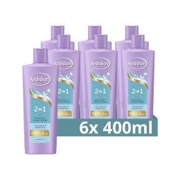 6xAndrlonShampoo2-in-1400ml